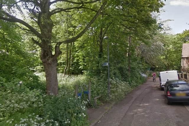 Woods in Sheffield - Google Maps