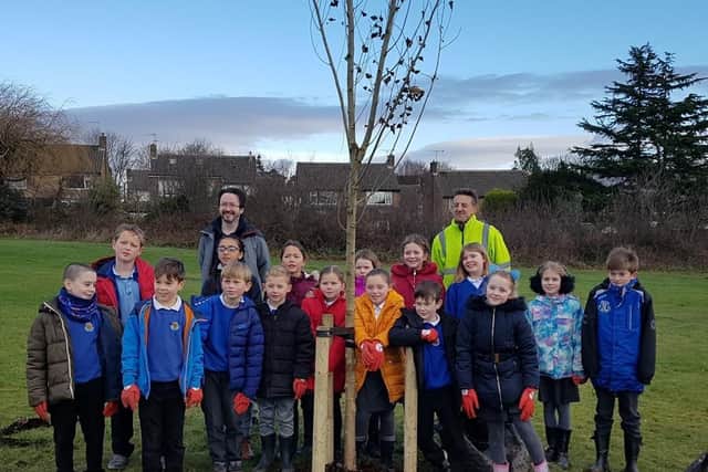 Children from Bradway School planted trees on their old school playing fields.