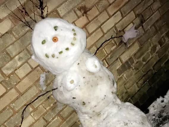Is this the first snowman in Sheffield this year?