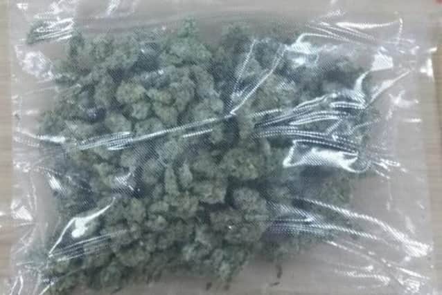 Cannabis seized by police. Picture: Rotherham Central neighbourhood police team.