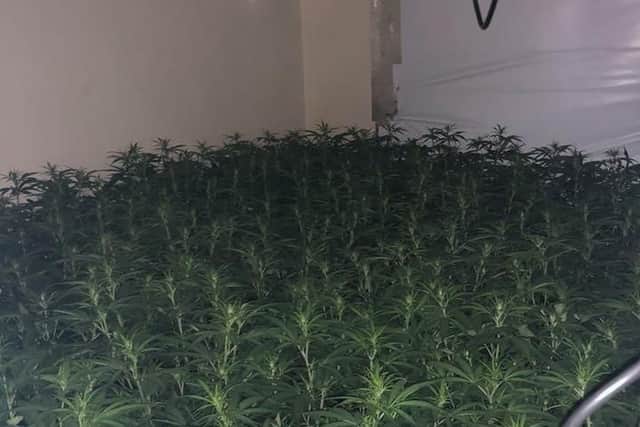 Police uncovered the cannabis factory in Fir Vale