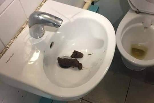 The human waste was found in a sink.