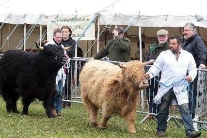 The Highland Fling in Graves Park in 2016