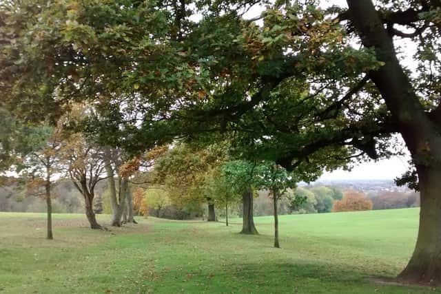Graves Park, showing the route of the old turnpike road. Picture: Friends of Graves Park