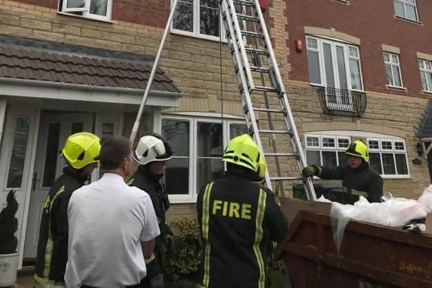 Firefighters were called to the rescue (pic: RSPCA)