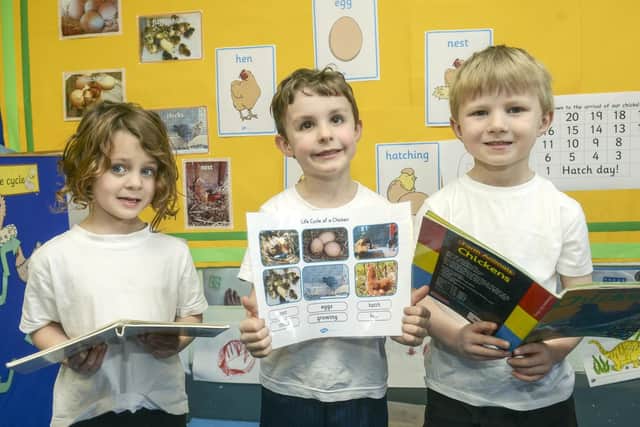 Meersbrook Bank Primary School pupils Frida, Henry and Dougie, who have been learning about chickens as the school has eggs waiting to hatch in an incubator