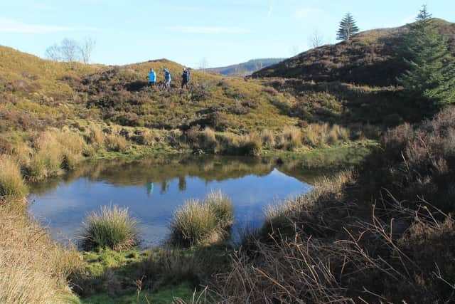Walkers on the Bradfield Canyards route (pic: Stocksbridge Walkers are Welcome)