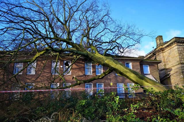 An uprooted tree damaged the Brentwood Hotel in Rotherham this morning