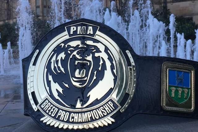 The Breed championship belt in the Peace Gardens, complete with the city's coat of arms