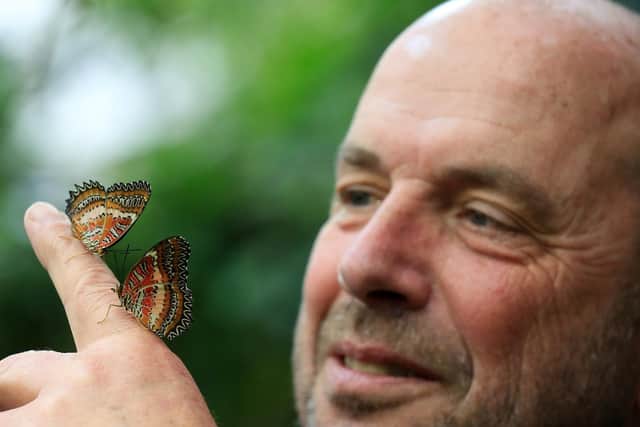 The Tropical Butterfly House Wildlife And Falconry Centre in North Anston is celebrating its 25th birthday this year. Pictured is Andrew Reeve. Picture: Chris Etchells