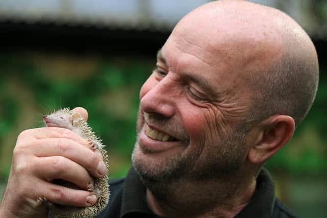 The Tropical Butterfly House Wildlife And Falconry Centre in North Anston is celebrating its 25th birthday this year. Pictured is Andrew Reeve with a tenrec. Picture: Chris Etchells