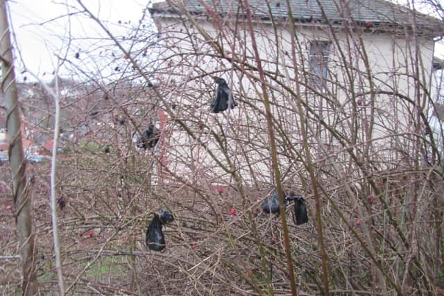 Dog mess bags thrown into trees.