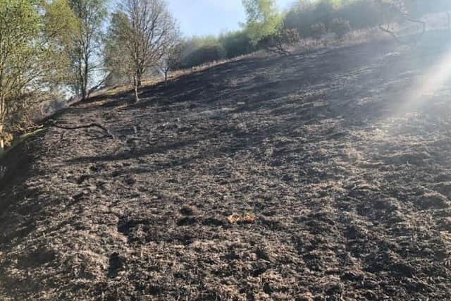 Damage to Ulley Country Park in Rotherham following a huge fire (pic: @UlleyRanger)