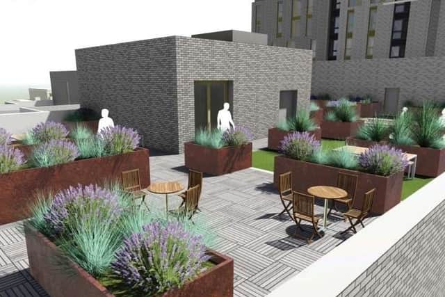 A computer-generated image showing how a roof terrace at the proposed Kangaroo Works development in Sheffield city centre would look (pic: Whittam Cox Architects)
