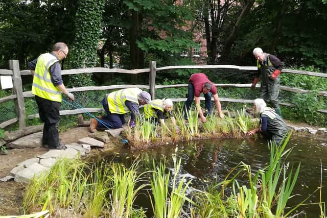 Volunteers completing a pond project at Sheffield General Cemetery