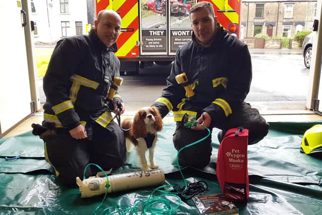 L-R: Firefighters James Clarke and Joe Walker have been trained to use special oxygen masks for pets