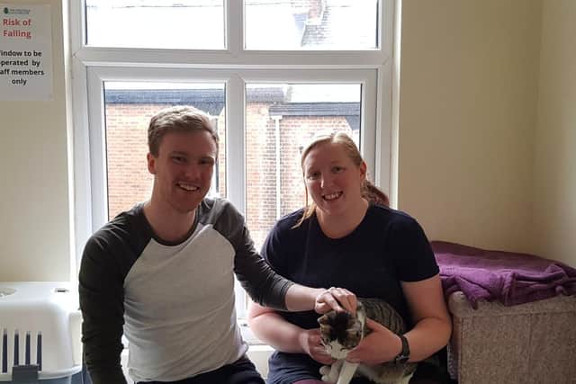 New homes are found for dozens of cats from The Sheffield Cats Shelter each month