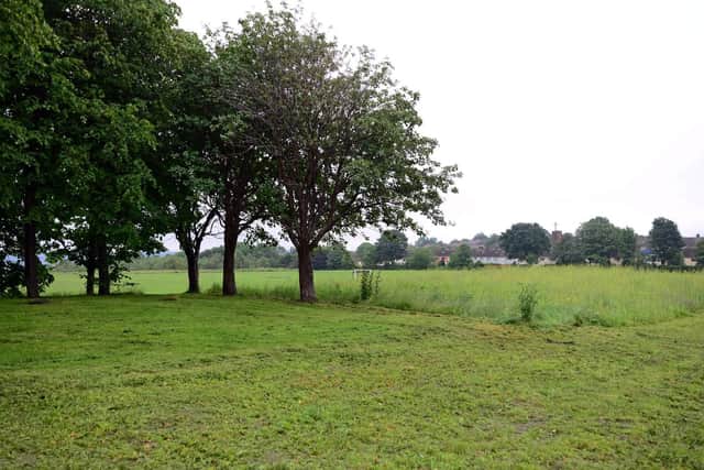 Colley Park, Parson Cross. Picture: Marie Caley NSST-26-06-19-MongerAppeal-7