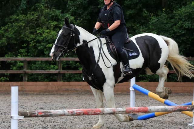 PC Julie Bradshaw has been a mounted police officer for 17 years