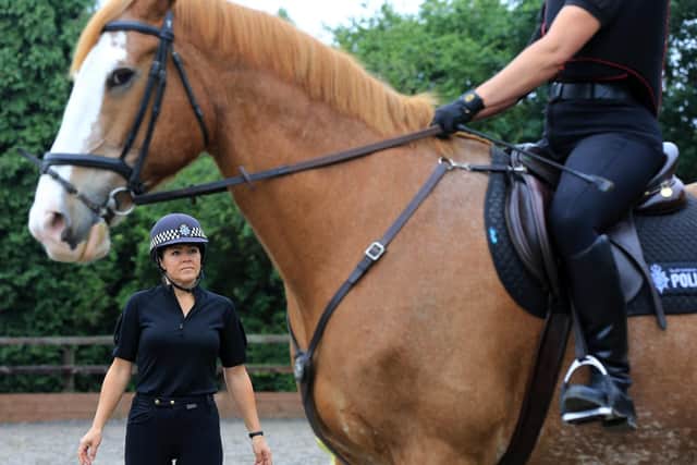 Mounted police officers helped with the search for Pamela Horvathova, who was found after missing for seven weeks