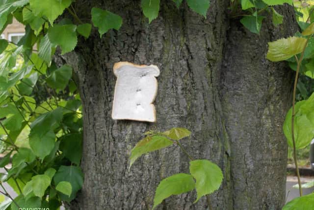 Someone is stapling bread to trees in Sheffield.