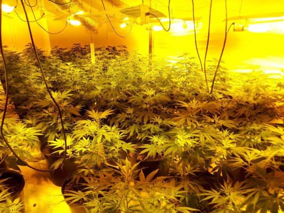 Police shut down a cannabis farm in Parkgate. Picture: Rotherham North neighbourhood police team.