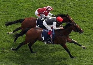 Hot favourite Cracksman, ridden by Frankie Dettori, gets up on the line to beat Salouen in the Group One Investec Coronation Cup.