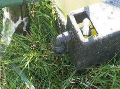 The water supply to the animal farm in Graves Park was deliberately damaged over the weekend