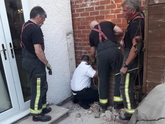 Firefighters demolished a wall to rescue a cat.