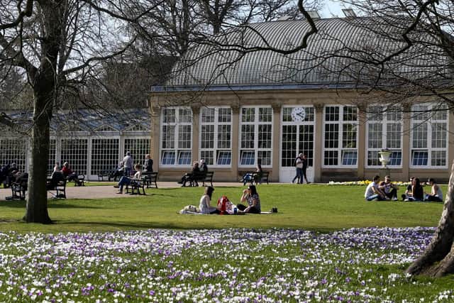 Tuck into a picnic at one of these scenic Sheffield spots