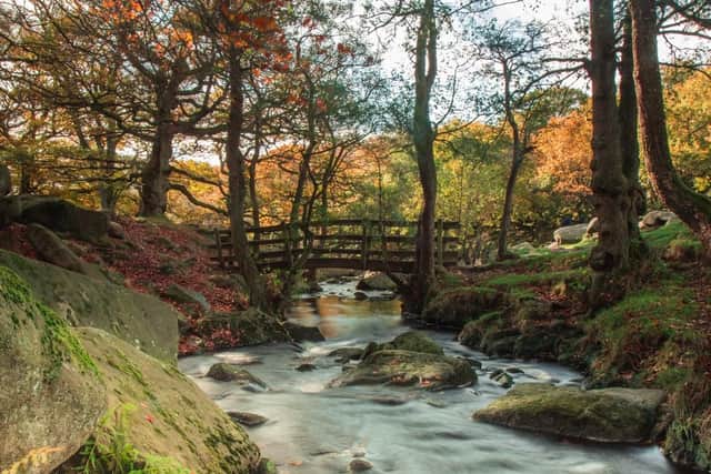 Scenic Padley Gorge is home to grassy areas, ancient rock and a pretty trickling stream