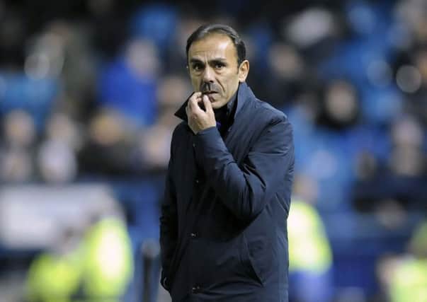 Jos Luhukay took charge of the Owls in January