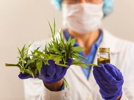 Medicinal cannabis is to be made available on prescription in the UK later this year, following approval for use by the government.
