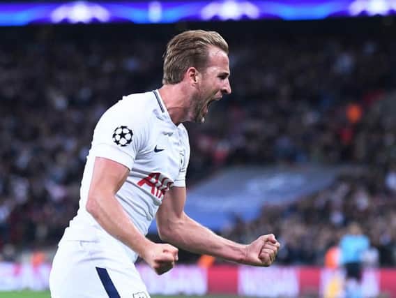Harry Kane is the second most expensive player in the Fantasy Premier League (Photo: Shutterstock)