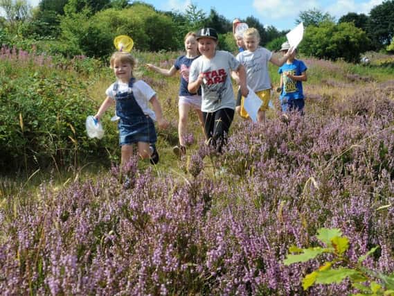 Children run through the meadow looking for butterflies on the Big Butterfly Count walk at Manor Fields Park. Pictures: Andrew Roe.