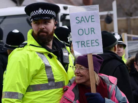Police and protesters at felling works earlier this year.