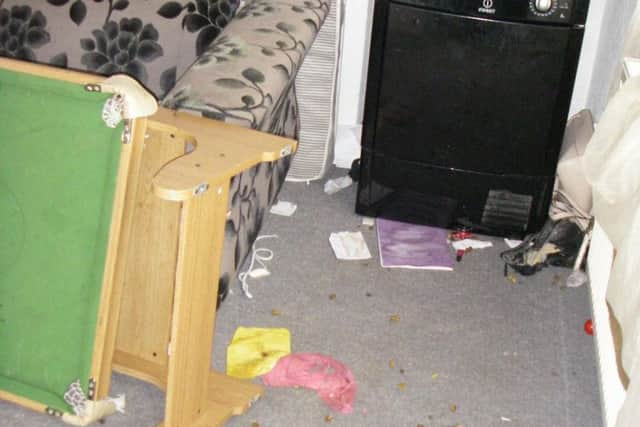 These pictures released by the RSPCA show the appalling conditions Lila and Moxy were left to die in.