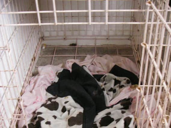 These pictures released by the RSPCA show the appalling conditions Lila and Moxy were left to die in.