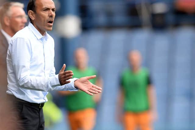 Jos Luhukay says every player in his Owls squad will get a chance to play over the coming weeks.