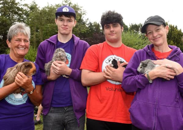 (l-r) Judy Wardell, Michael Johnson, Adam Hayes and Francine Jackson, with Claude, Pippin, Patch and Tilly at the Cavy Corner Guinea Pig picnic.