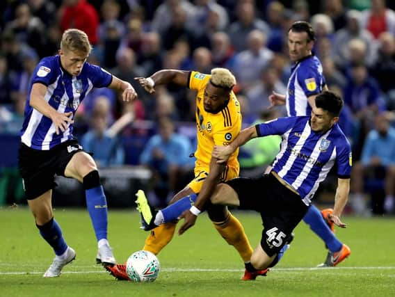 Fernando Forestieri could be in hot water with the Football Association