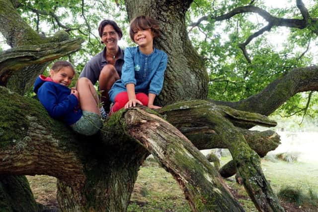 National Trust Peak District Appeal: Volunteer ranger Lu Watkins with daughters Olivia and Sophie in an old oak tree at Longshaw