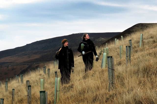 National Trust Peak District Appeal: Assistant ranger Hannah Cantrell and volunteer ranger Matt Hilton-Webb checking newly-planted trees above Howden reservoir
