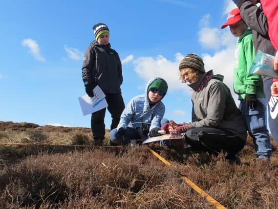 A new, free Peak District National Park junior ranger group for 11 to 18 year-olds