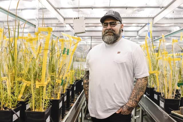 Professor Duncan Cameron with rice plants growing in a room heated to simulate the searing temperatures in which they grow naturally