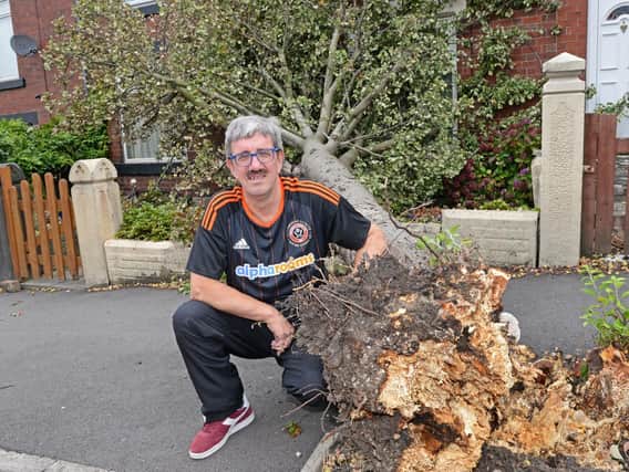 Paul Hirst, pictured, by the that tree has blown down onto his home, in Myrtle Road, Heeley.