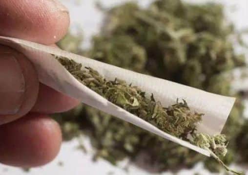 Cannabis.