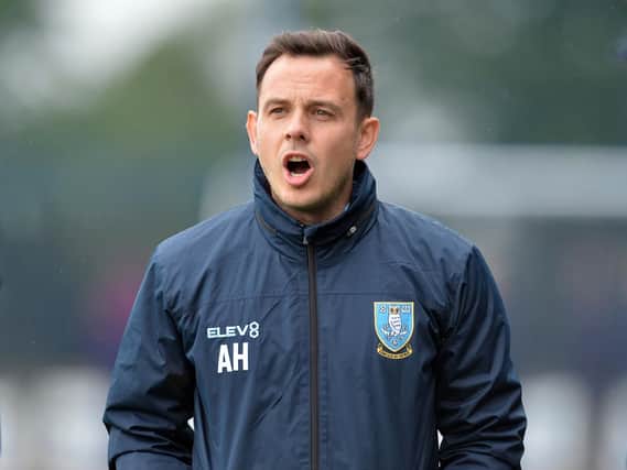 Newly-appointed Sheffield Wednesday Under-18s boss Andy Holdsworth