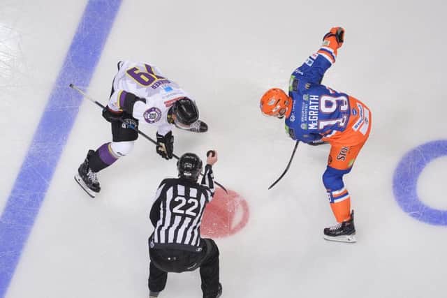 What now for Sheffield Steelers new look team?