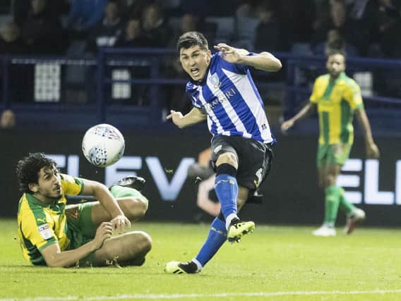 Fernando Forestieri hit his third goal of the season in Sheffield Wednesday's home draw with WBA